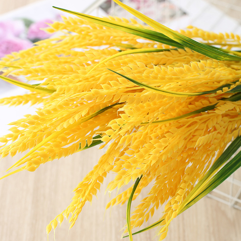 硅膠是食品級的嗎？